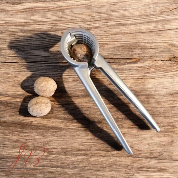 گردوشکن عروس - تصویر 3